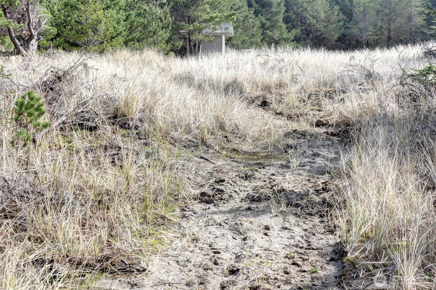 16151 Pacific Way Long Beach, WA 98631 - Photo 10 of 23 a view of a lake with a yard