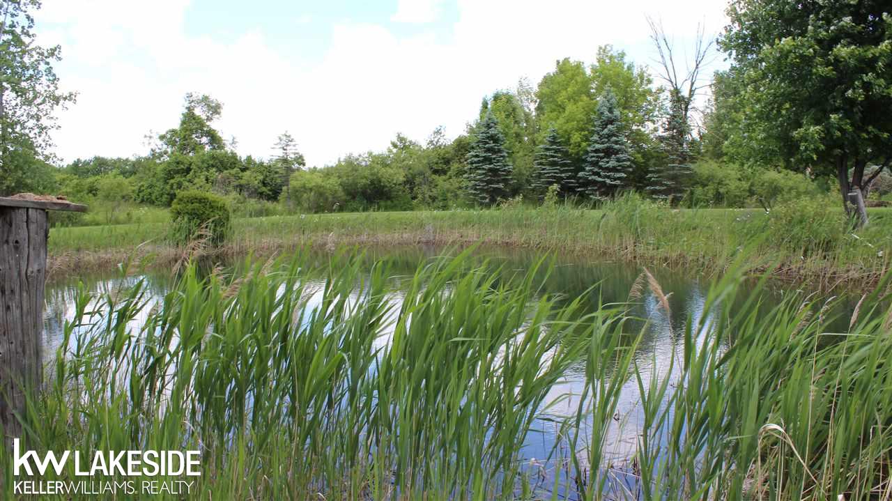 1871 Cove Road Goodells, MI 48027 - Photo 31 of 35
