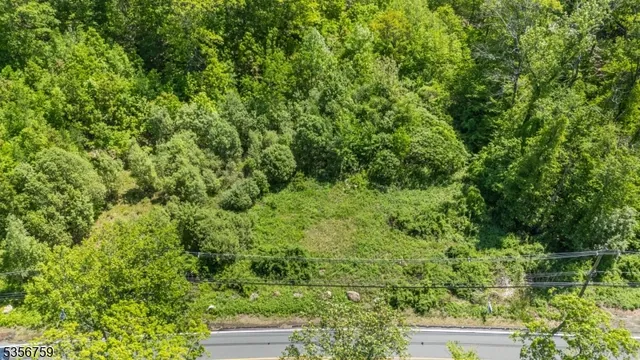 a view of a lush green forest