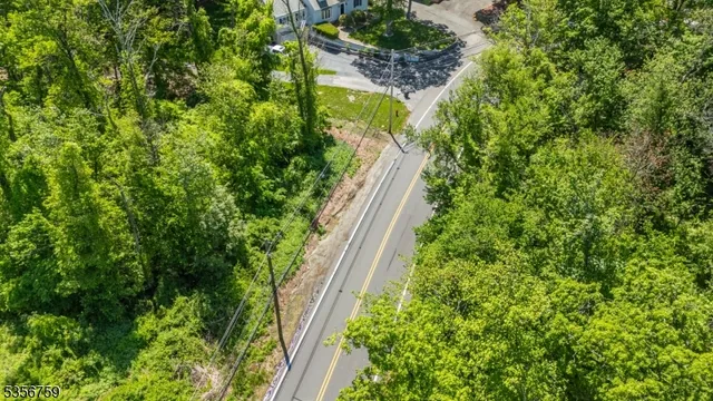 a close up of a plant in a garden