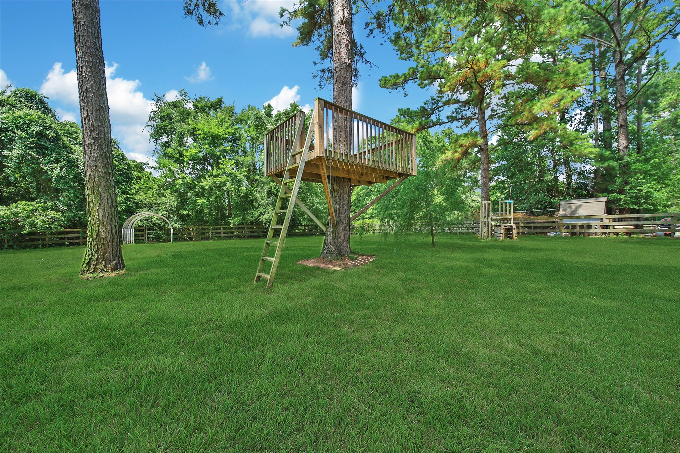 23644 Spring Branch Trail Montgomery, TX 77316 - Photo 23 of 32