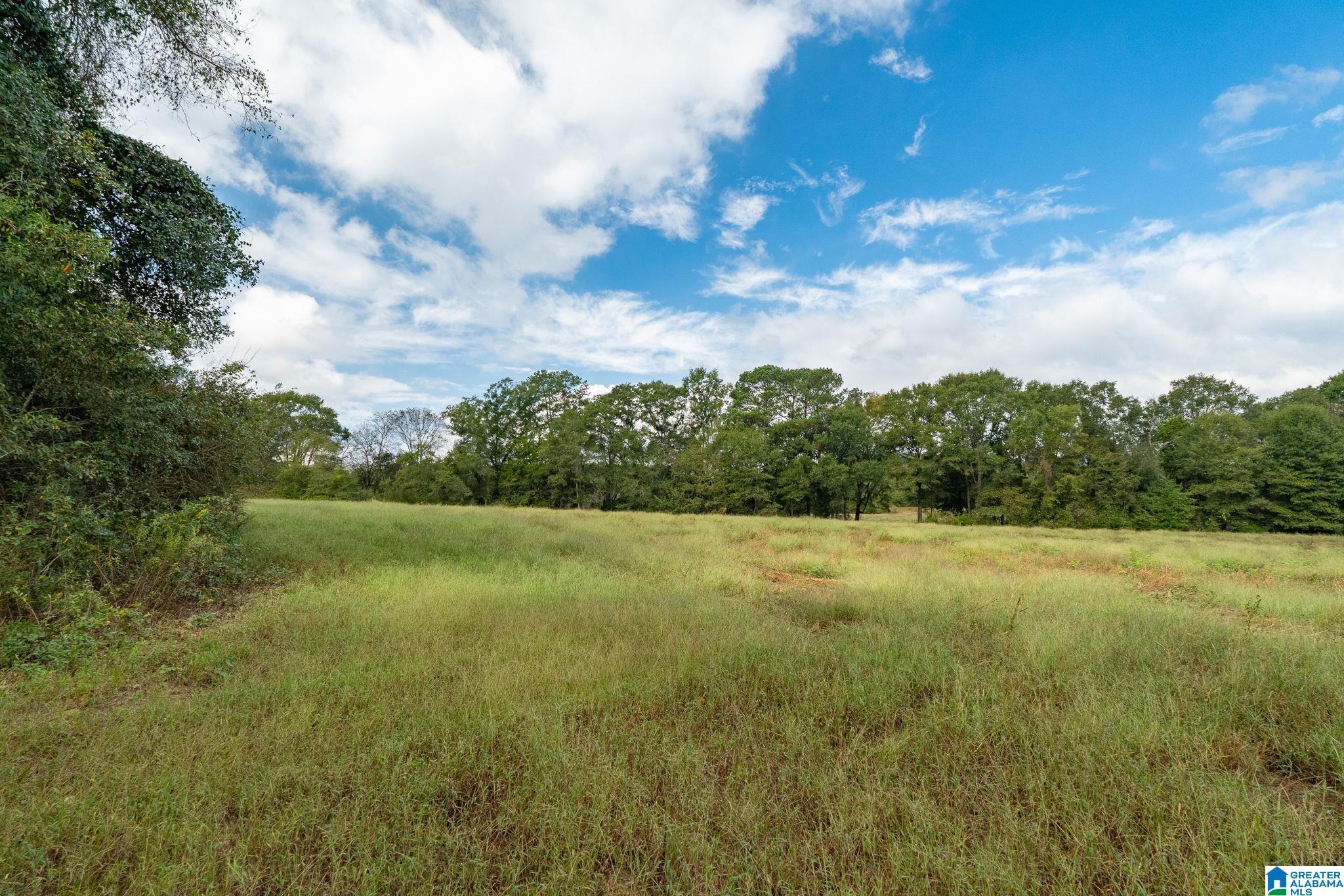 0 Allred Road, Unit PARCEL #5 Lincoln, AL 35096 - Photo 2 of 24