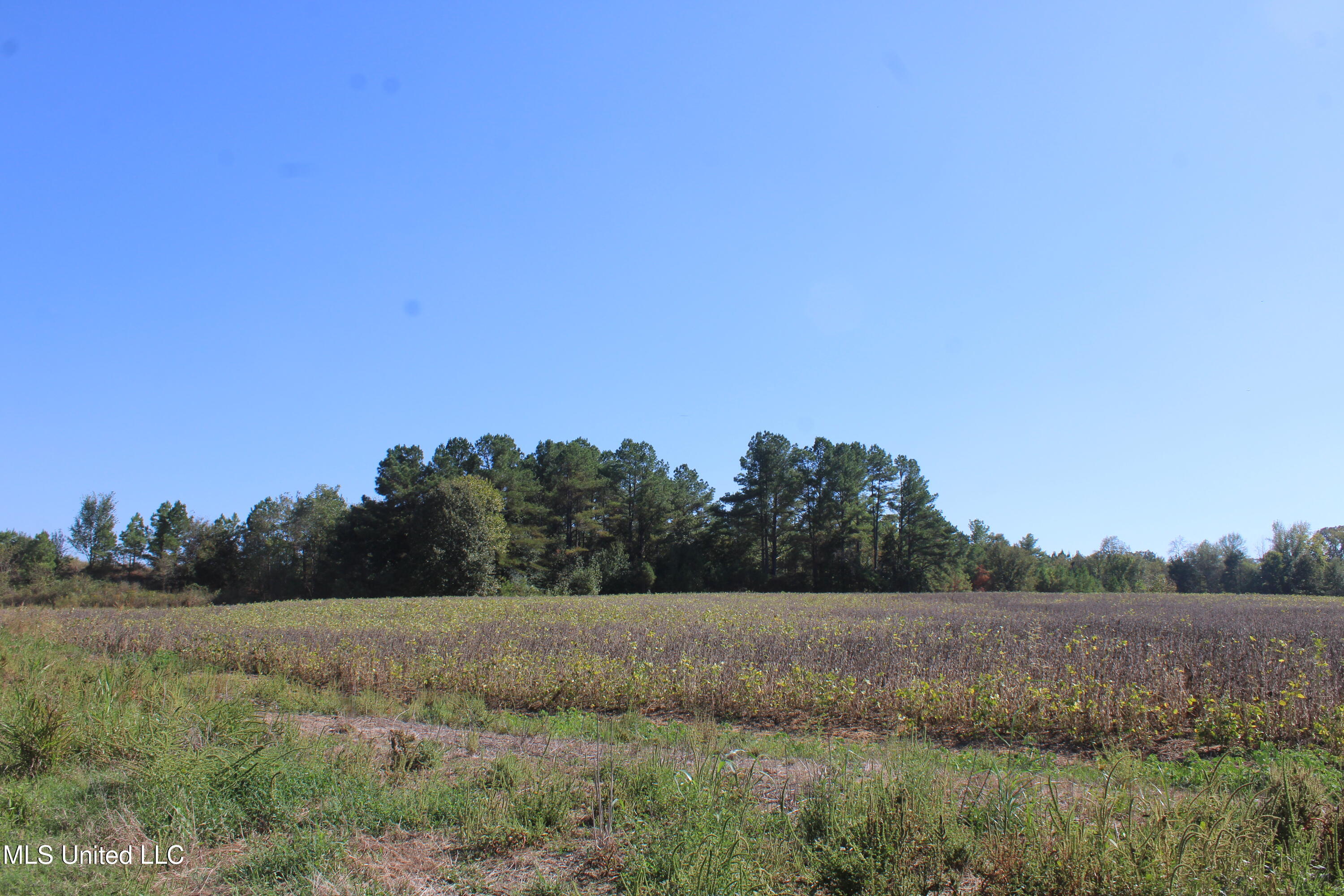 0 Red Banks Road North Byhalia, MS 38611 - Photo 12 of 43 IMG_6759