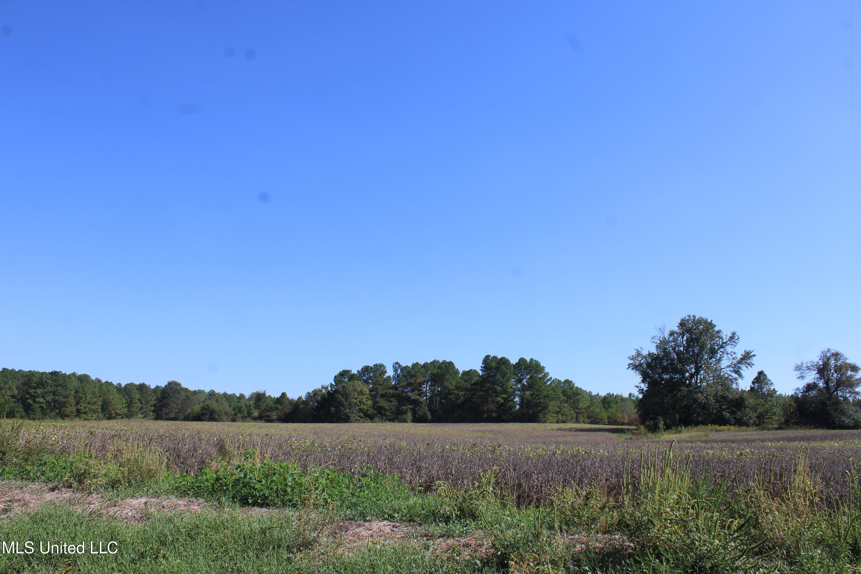 0 Red Banks Road North Byhalia, MS 38611 - Photo 13 of 43 IMG_6760