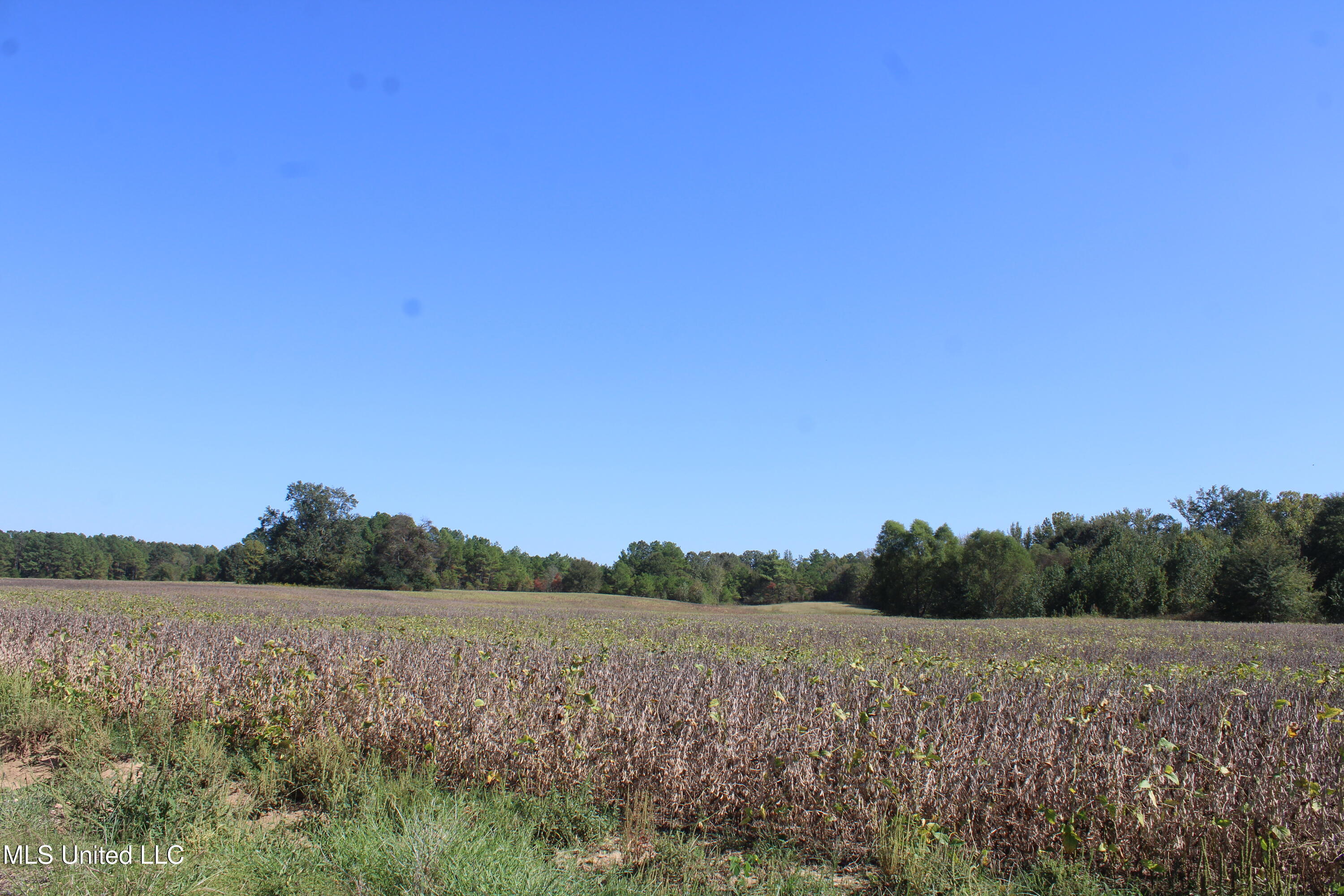 0 Red Banks Road North Byhalia, MS 38611 - Photo 14 of 43 IMG_6761