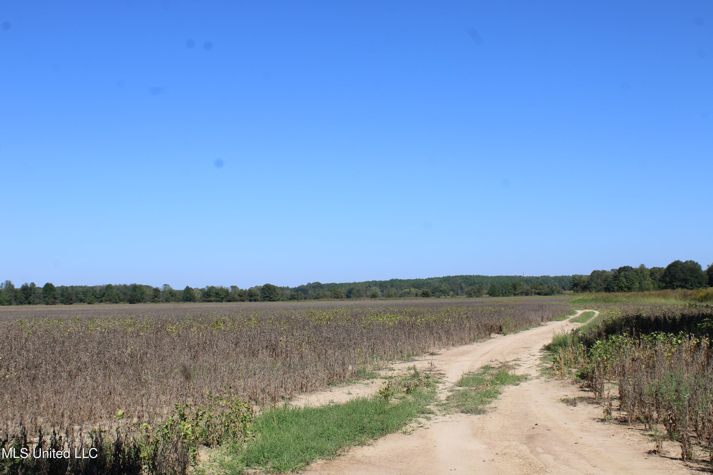 0 Red Banks Road North Byhalia, MS 38611 - Photo 16 of 43 IMG_6763