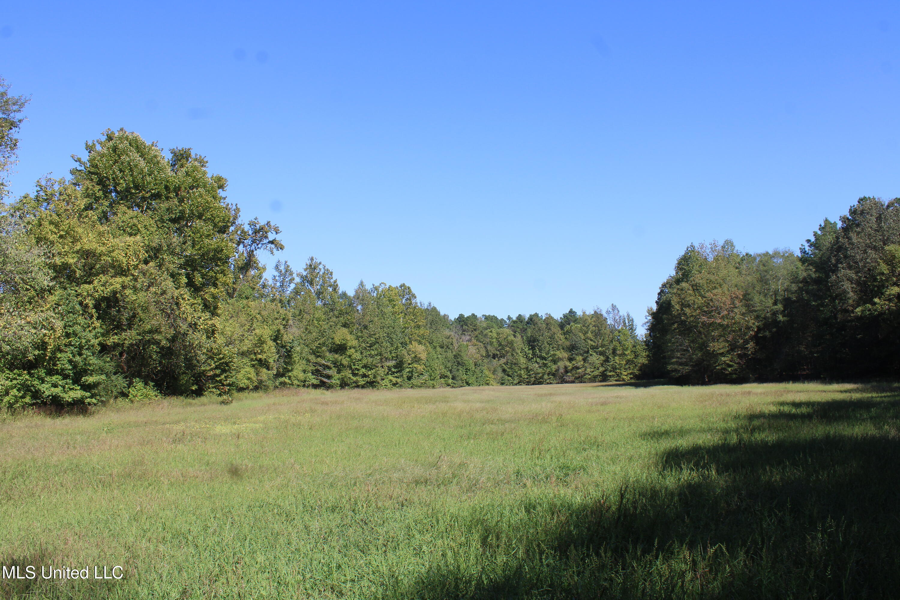 0 Red Banks Road North Byhalia, MS 38611 - Photo 22 of 43 IMG_6769