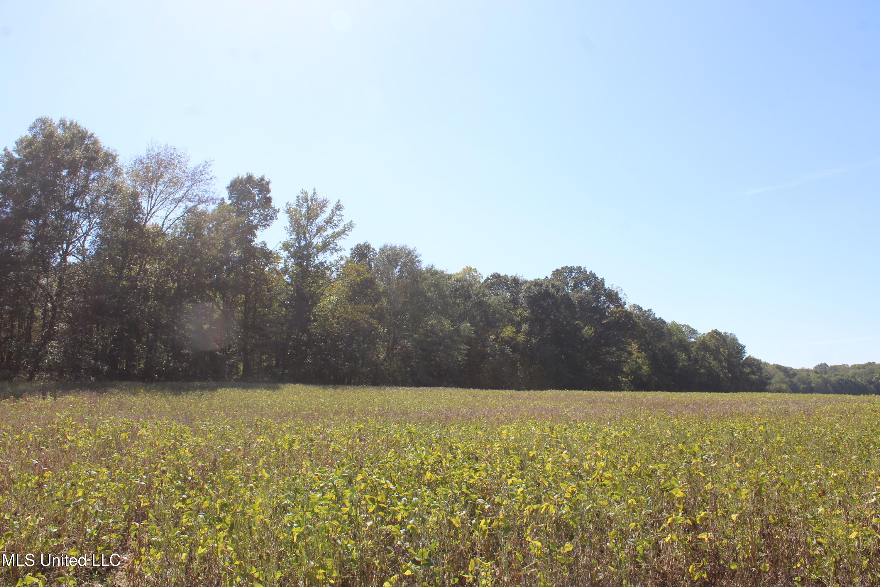 0 Red Banks Road North Byhalia, MS 38611 - Photo 24 of 43 IMG_6771