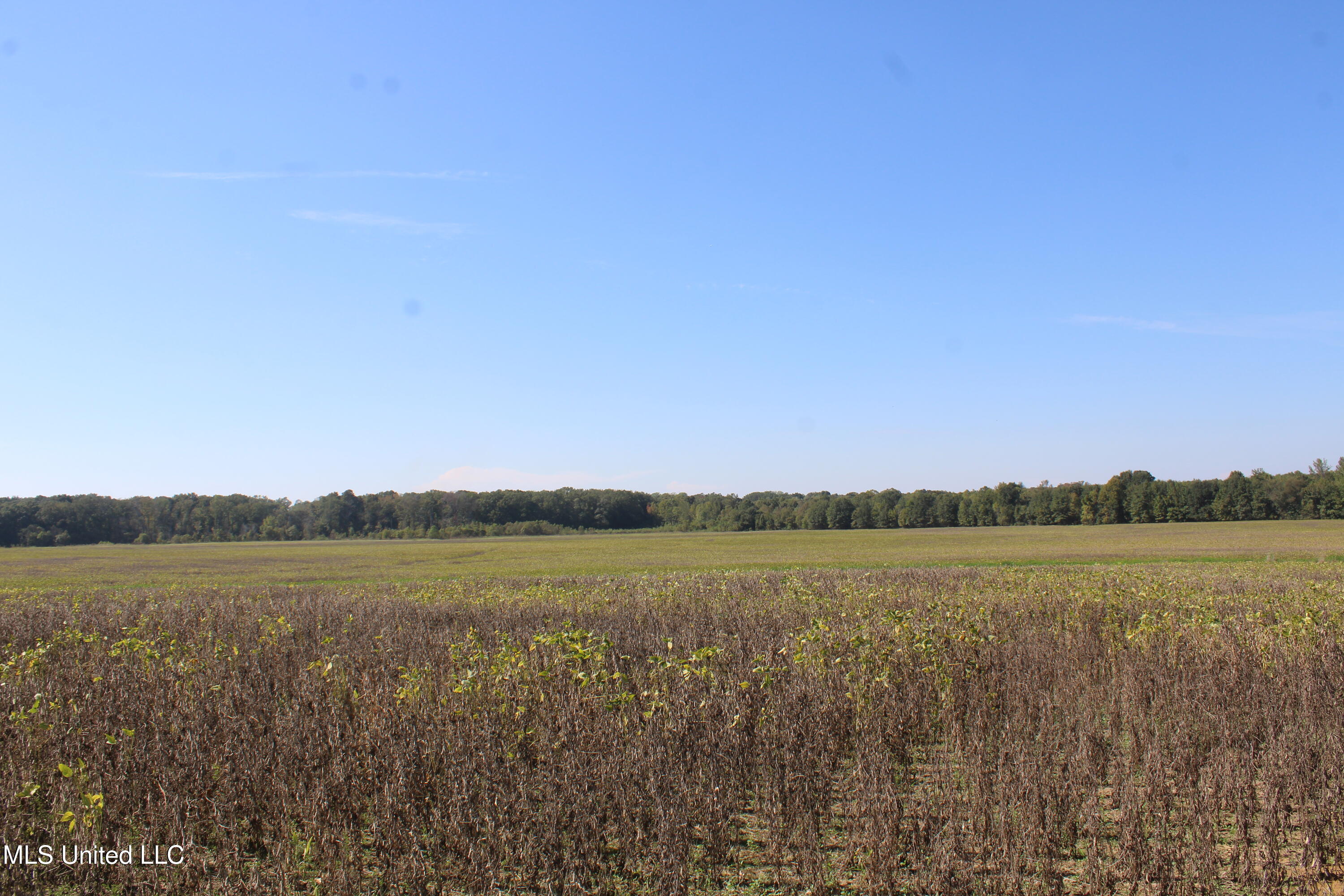 0 Red Banks Road North Byhalia, MS 38611 - Photo 26 of 43 IMG_6773
