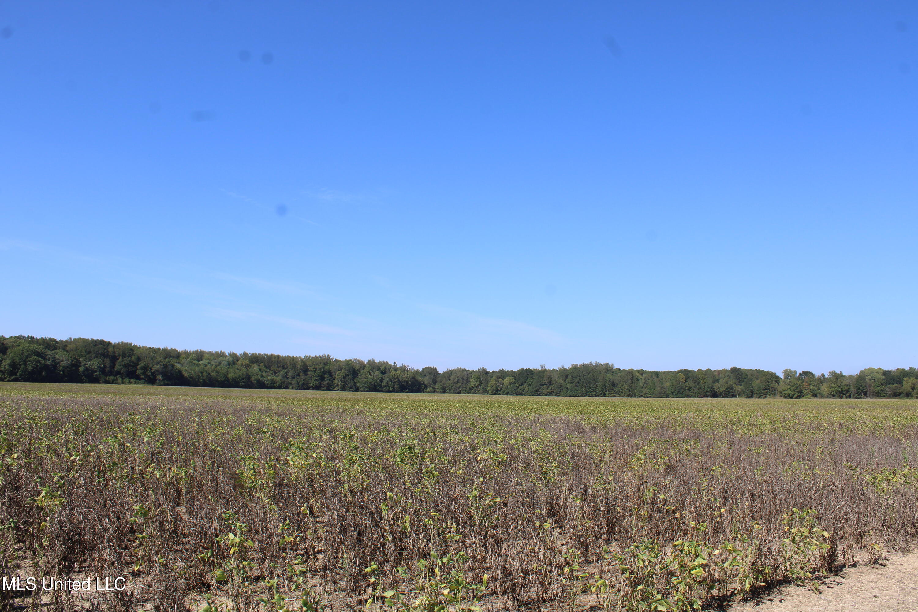 0 Red Banks Road North Byhalia, MS 38611 - Photo 28 of 43 IMG_6775