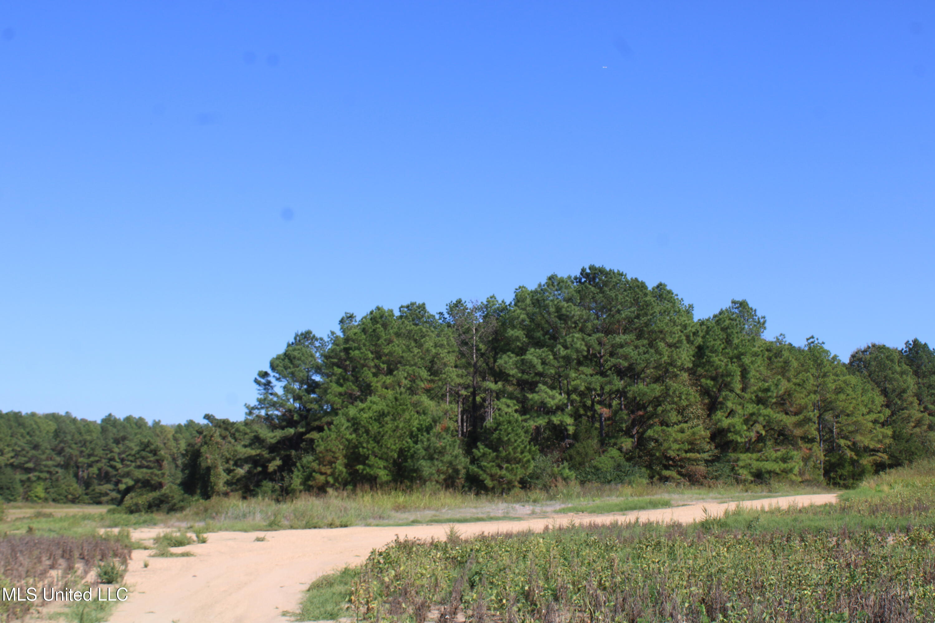 0 Red Banks Road North Byhalia, MS 38611 - Photo 29 of 43 IMG_6776