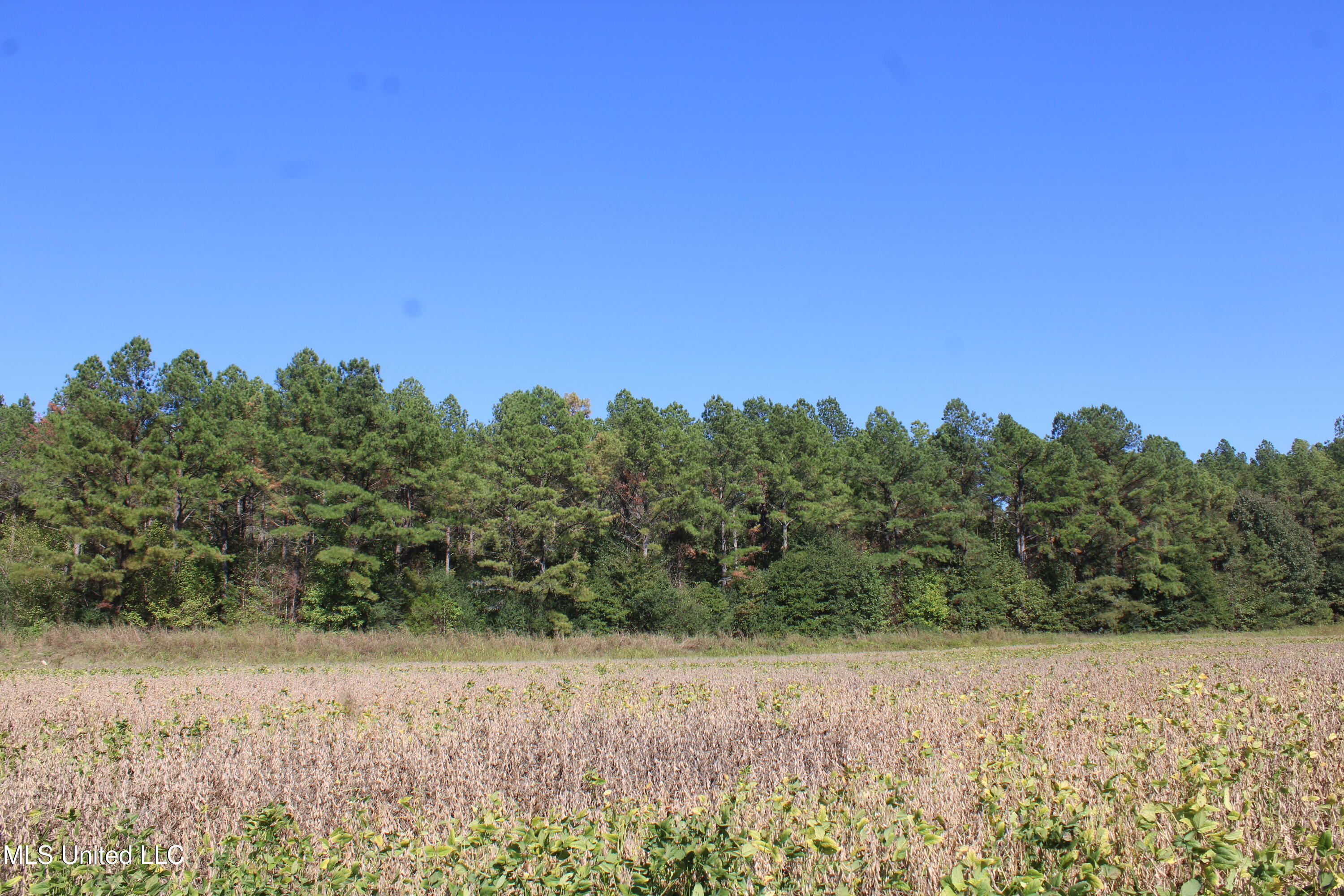 0 Red Banks Road North Byhalia, MS 38611 - Photo 31 of 43 IMG_6778