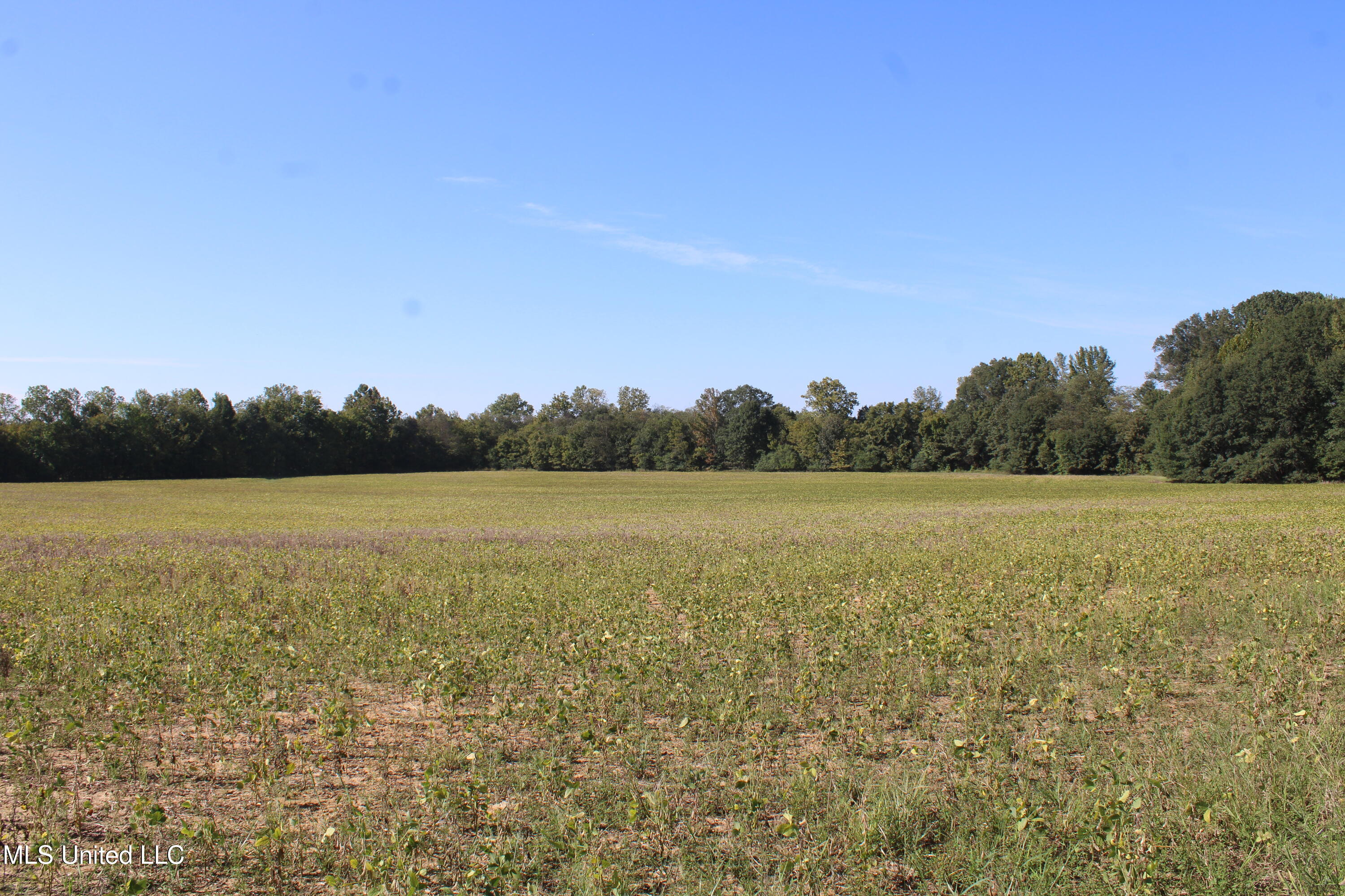 0 Red Banks Road North Byhalia, MS 38611 - Photo 40 of 43 IMG_6787