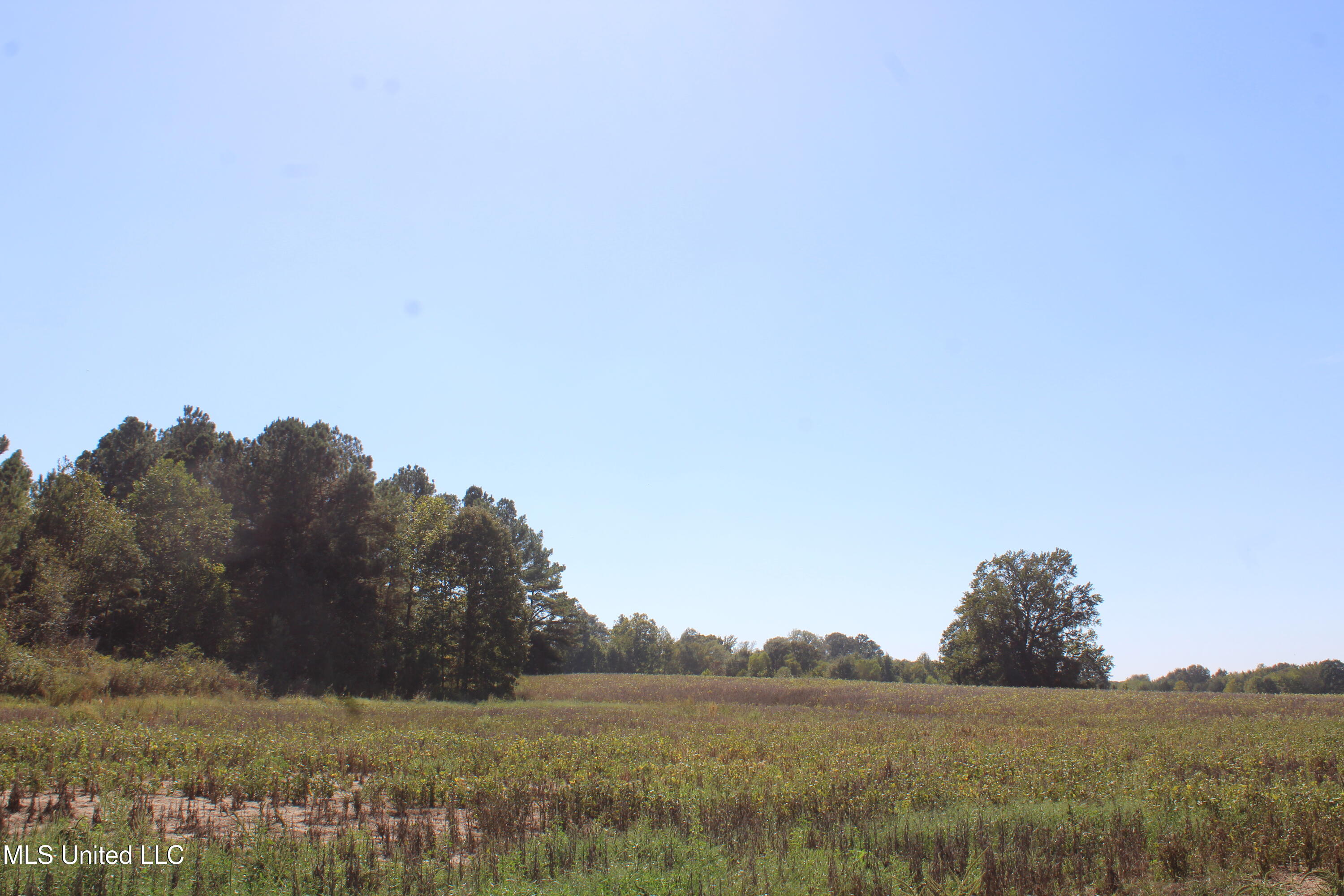 0 Red Banks Road North Byhalia, MS 38611 - Photo 9 of 43 IMG_6756