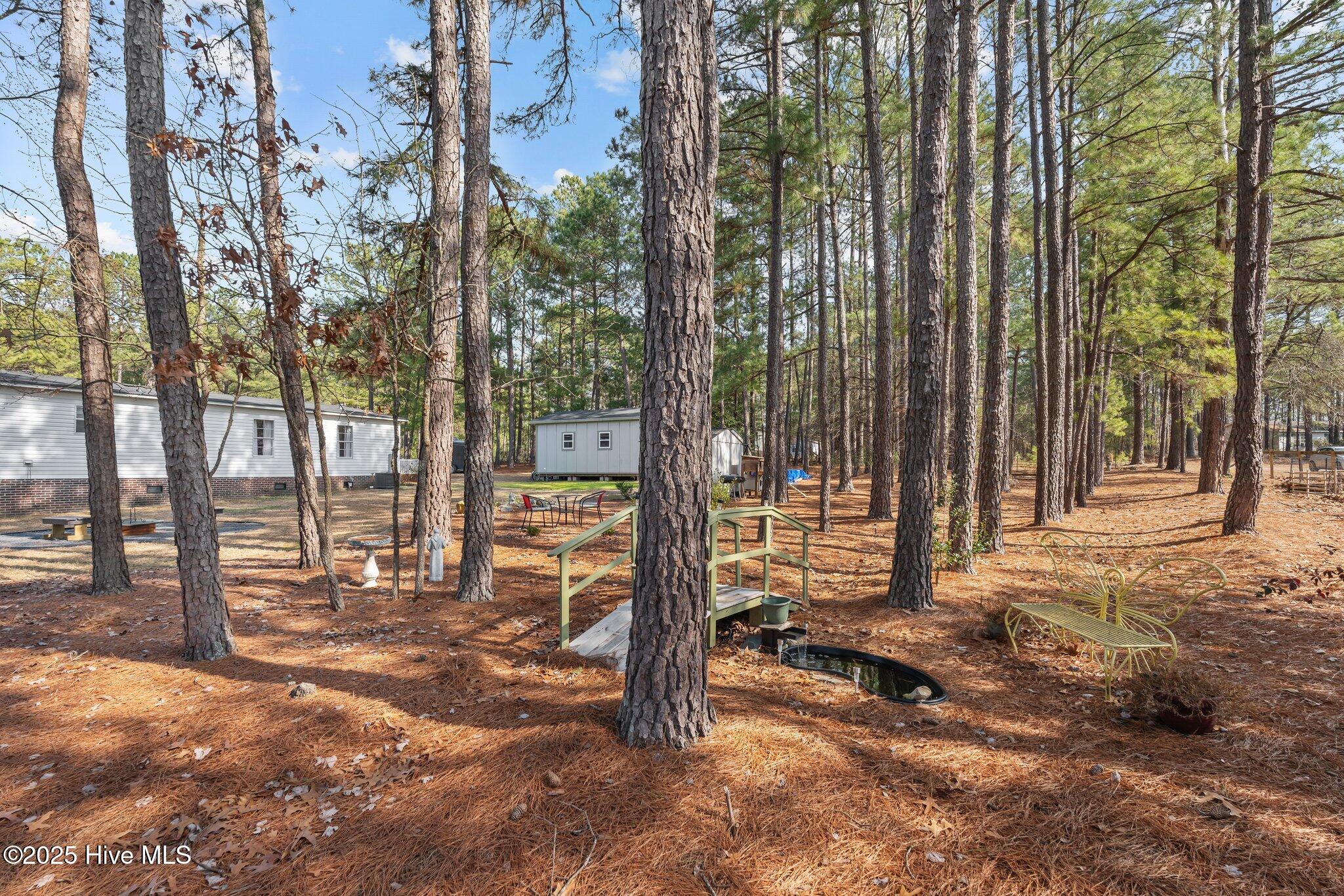 185 Roping Lane Cameron, NC 28326 - Photo 47 of 53 49-web-or-mls-DSC06724