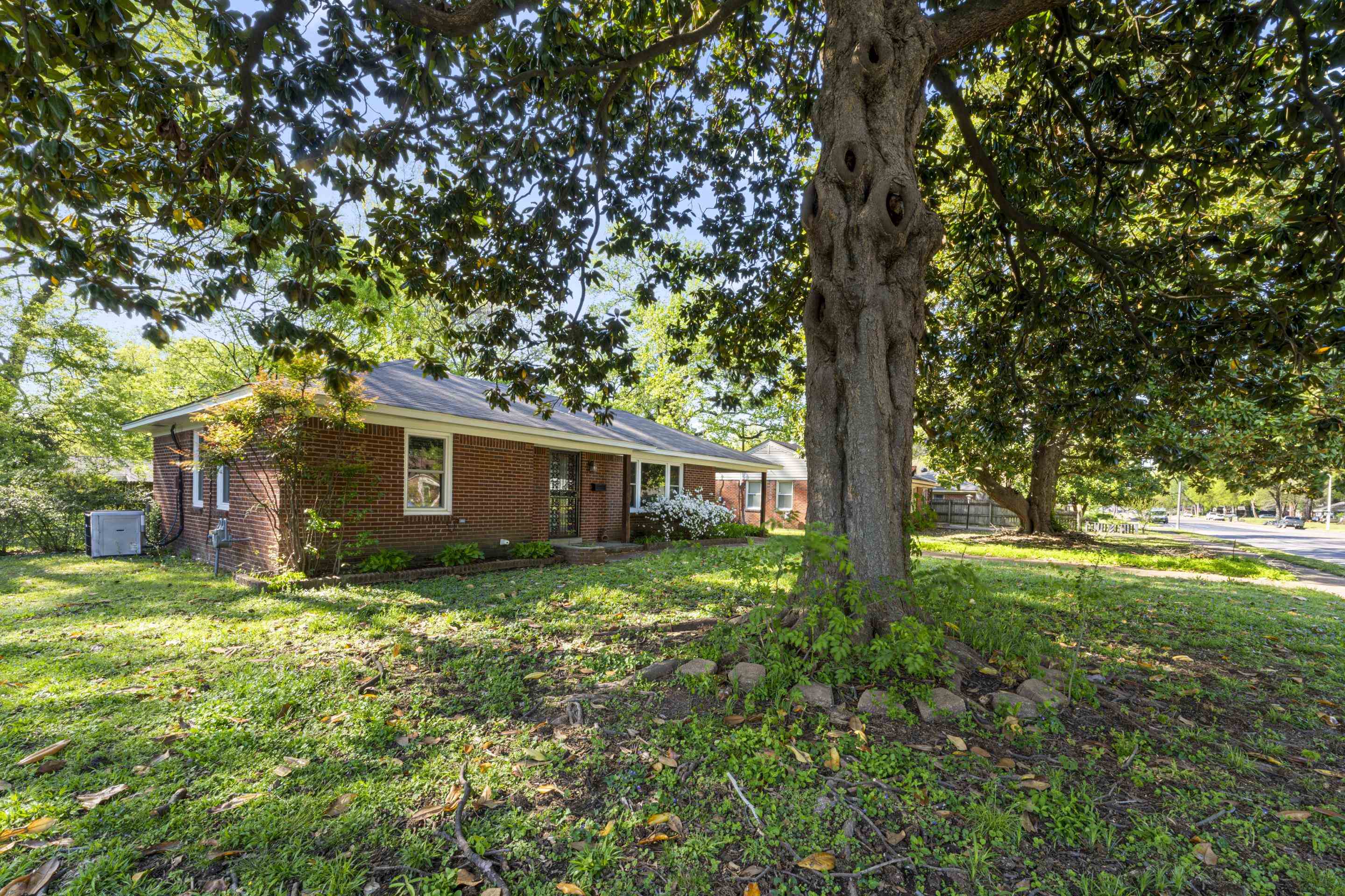 1603 Colonial Road Memphis, TN 38117 - Photo 4 of 24 a view of a backyard with large trees
