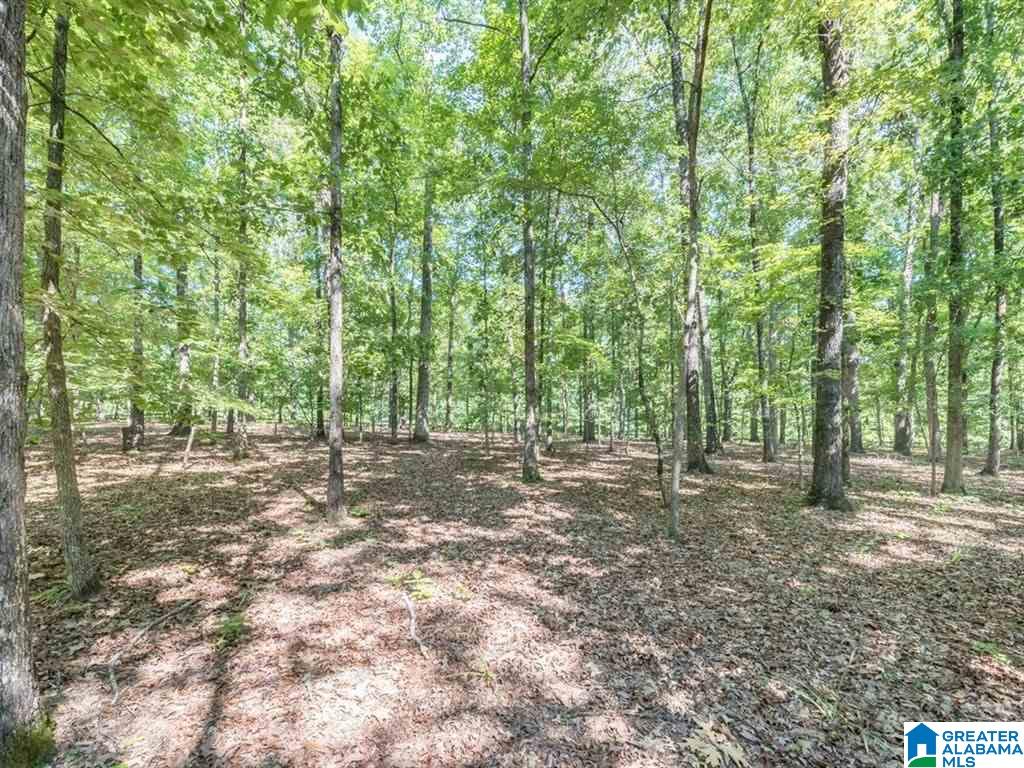22461 Rosser Lane McCalla, AL 35111 - Photo 23 of 33