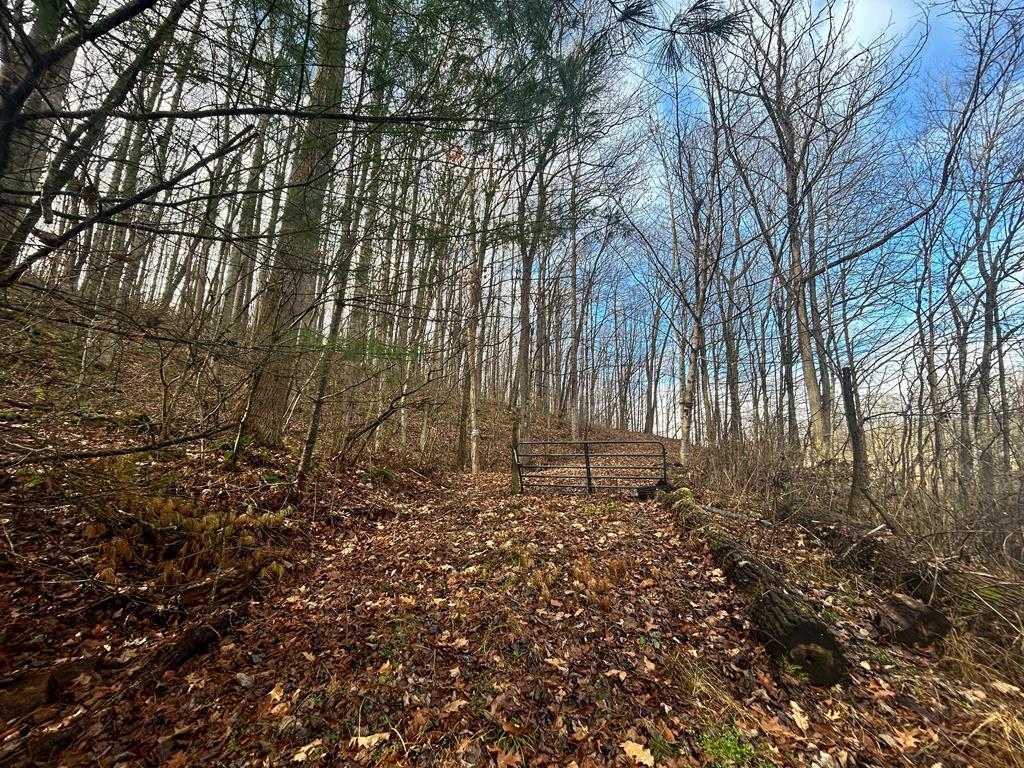 13.41-ac Kimberlin Road, Unit 15 Rural Retreat, VA 24368 - Photo 15 of 17 Gallery Image 15