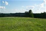 2204 Kiddville Road Mount Sterling, KY 40353 - Photo 4 of 6 Photo 4