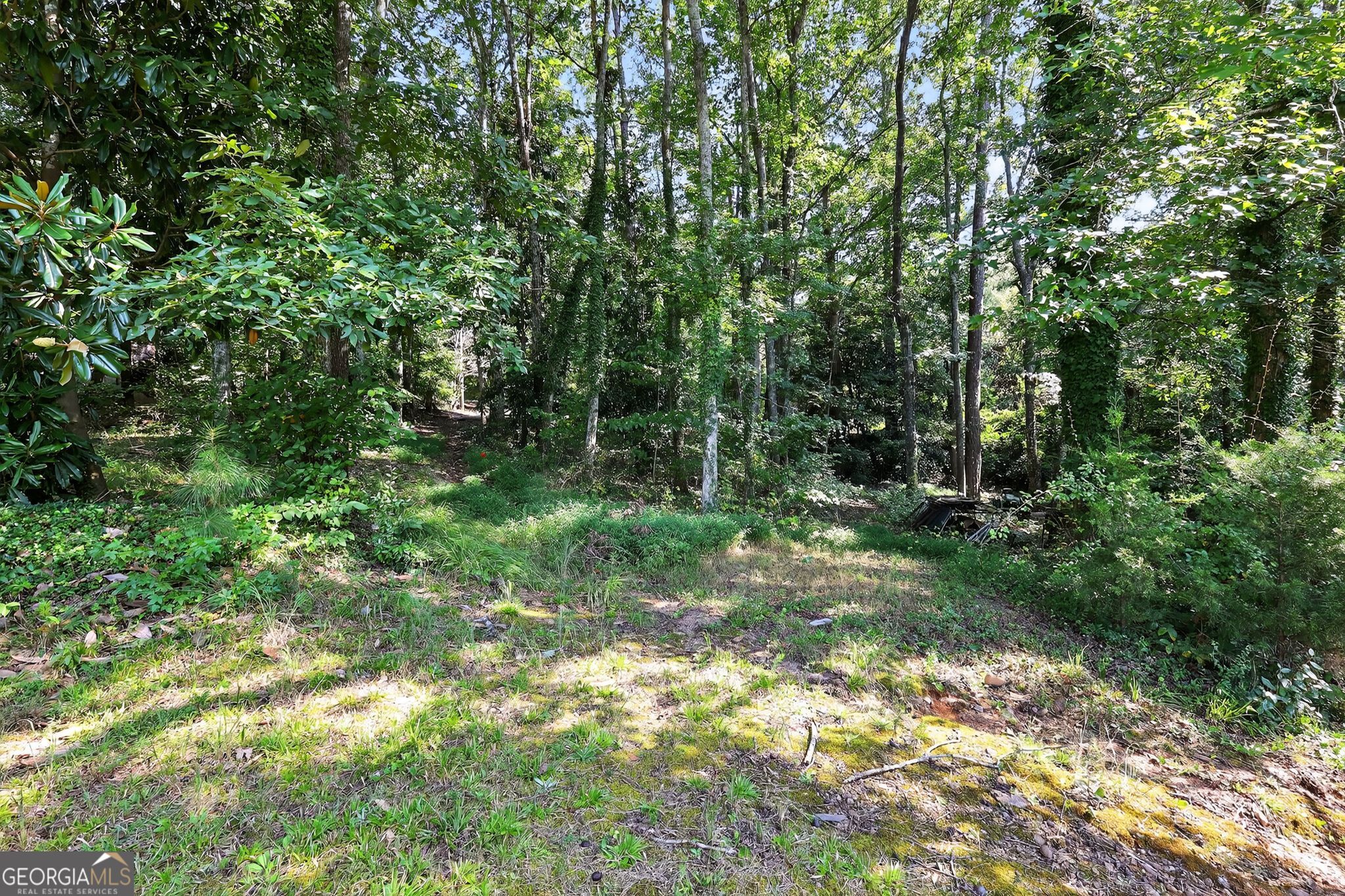 621 Mayes Way Manchester, GA 31816 - Photo 3 of 30 a view of forest