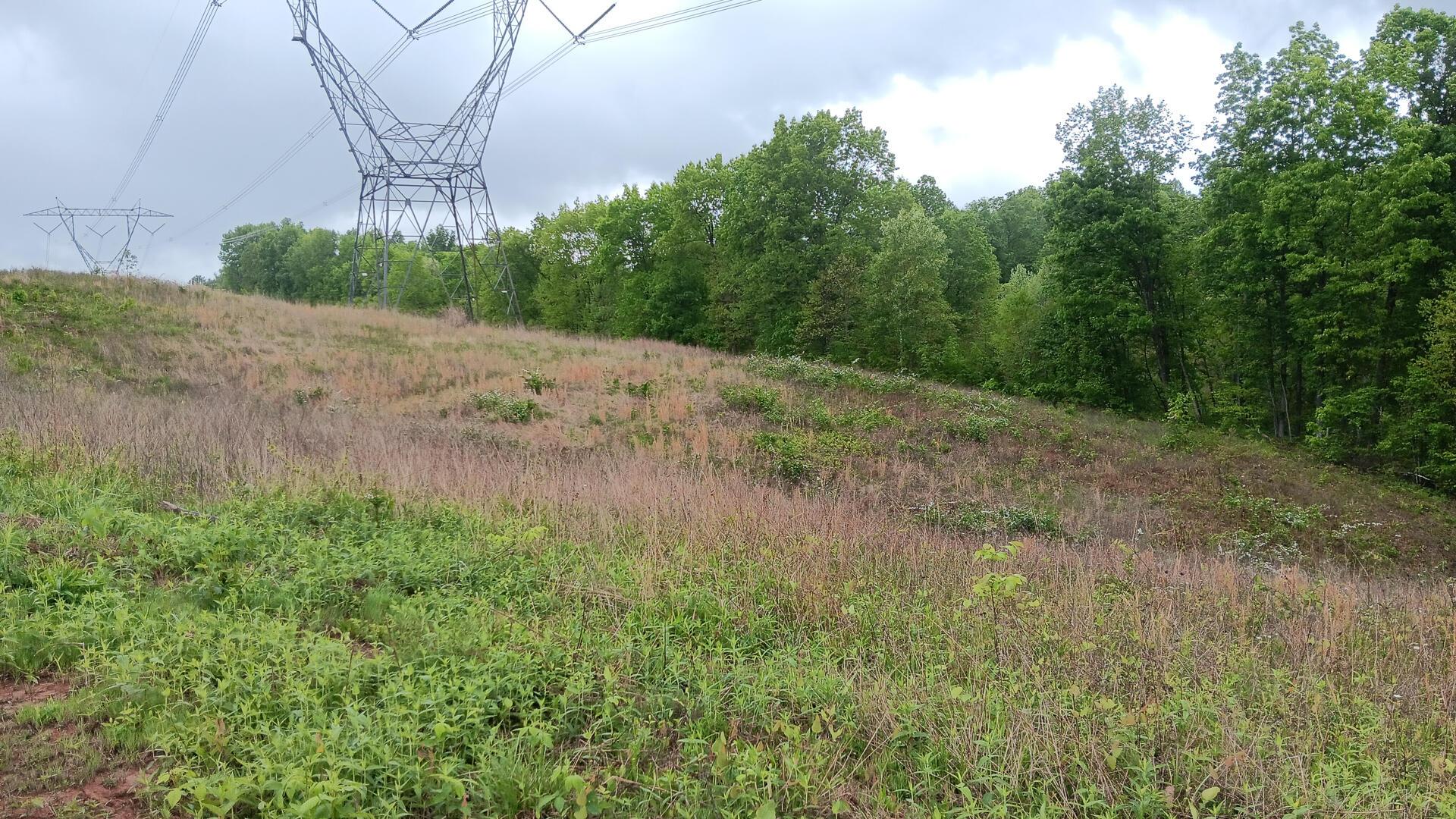 0 Hampton Hollow Road, Unit 7 ACRE TRACT) Langsville, OH 45741 - Photo 28 of 55