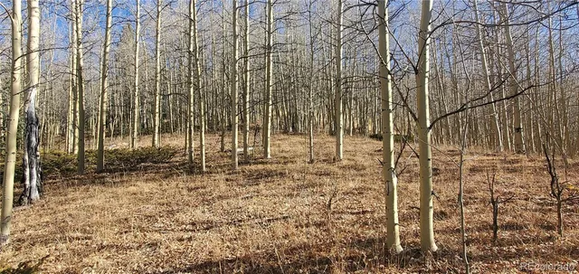 a view of a pathway with a yard