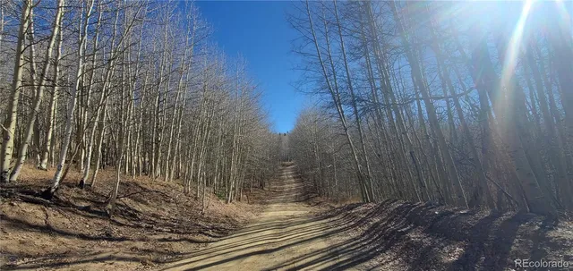 a view of a backyard of the house