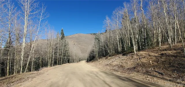 a view of a yard with plants and trees