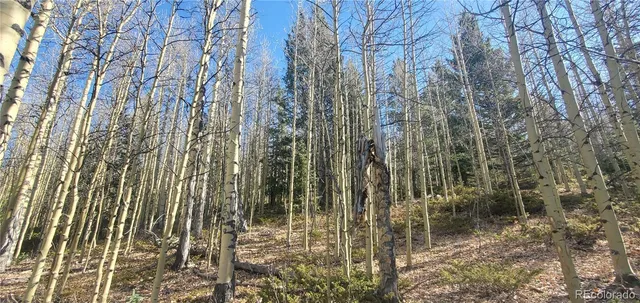 a view of a wooden floor