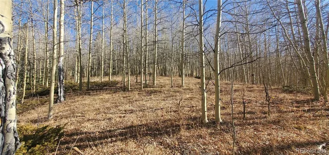 a view of wooden fence