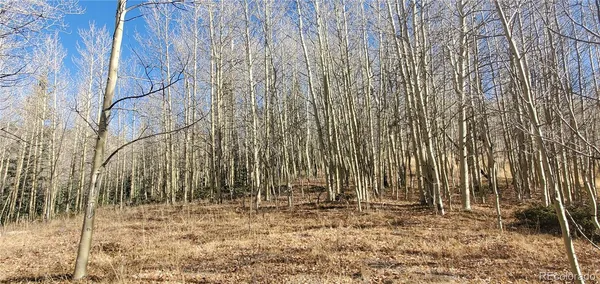a view of wooden fence