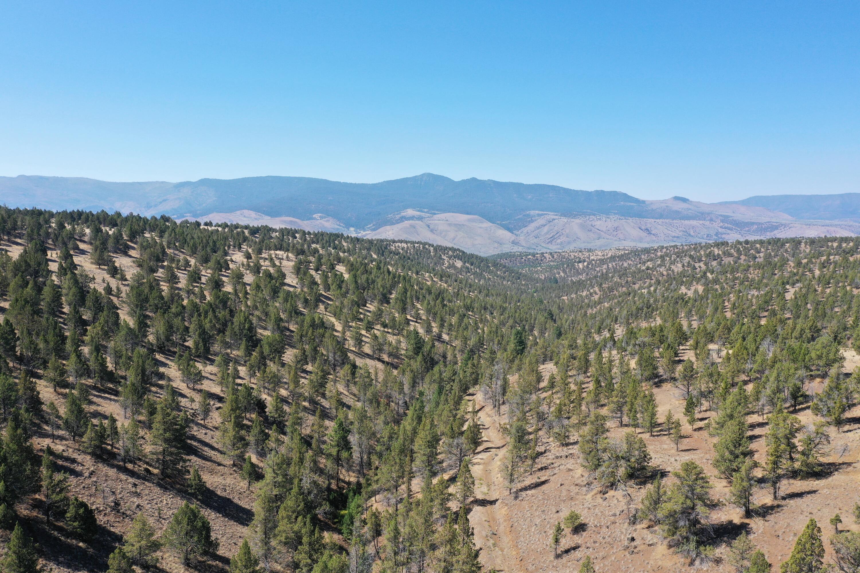 2400 Wiley Creek Road Mount Vernon, OR 97865 - Photo 32 of 34 DJI_0395