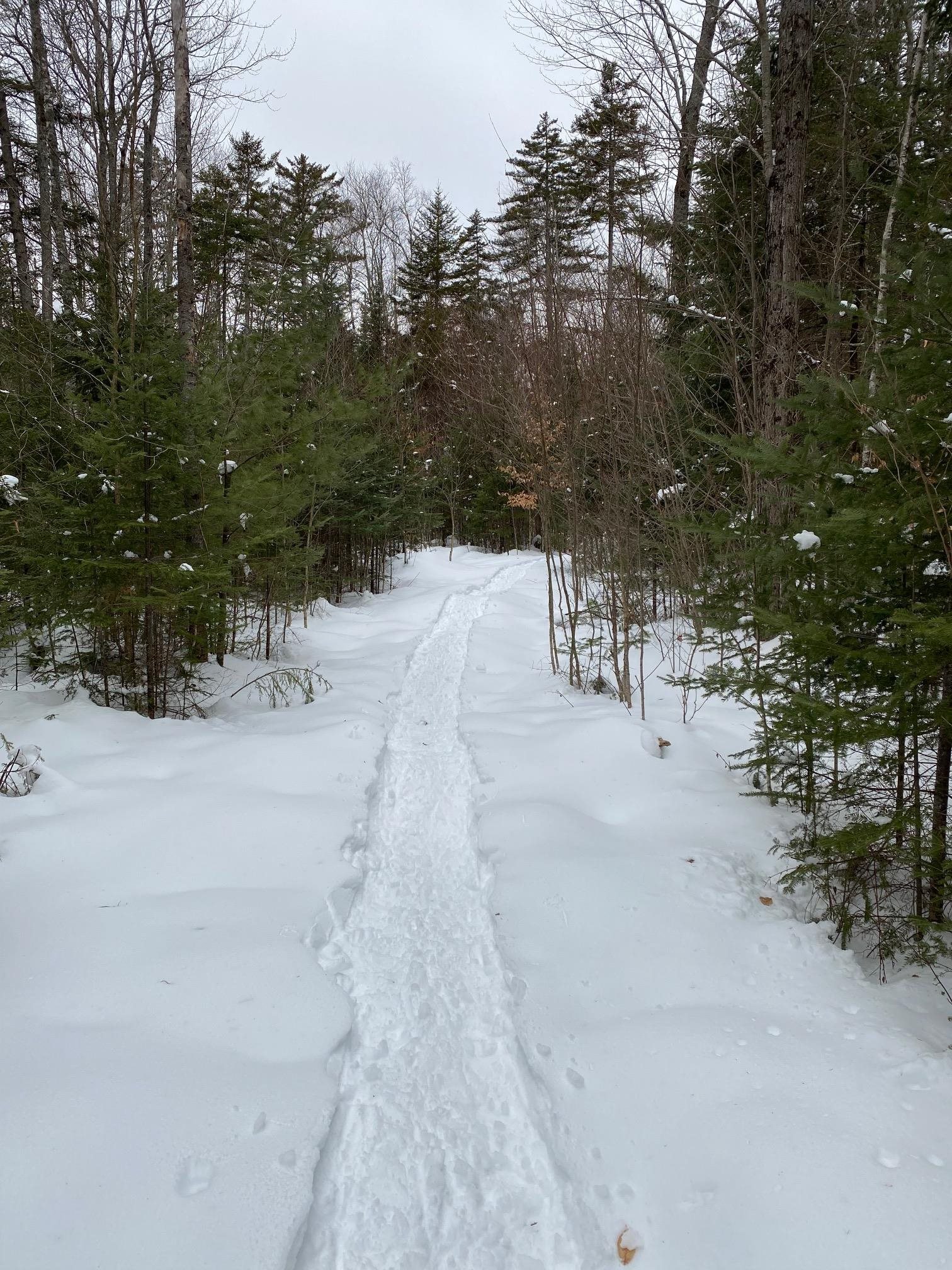 50 Old Dorchester Road Lyme, NH 03768 - Photo 25 of 30