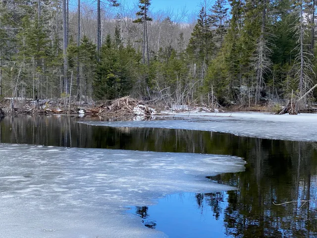 $950,000 | 50 Old Dorchester Road, Lyme, NH 03768