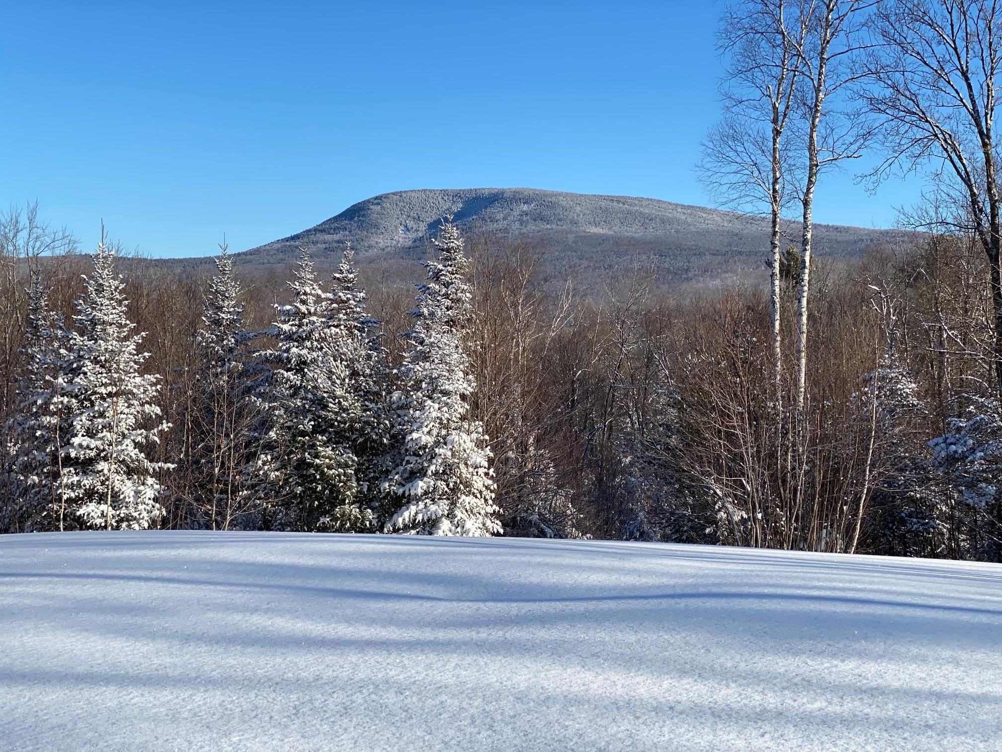50 Old Dorchester Road Lyme, NH 03768 - Photo 6 of 30