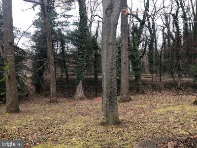 Large Rear Yard, backing to trail