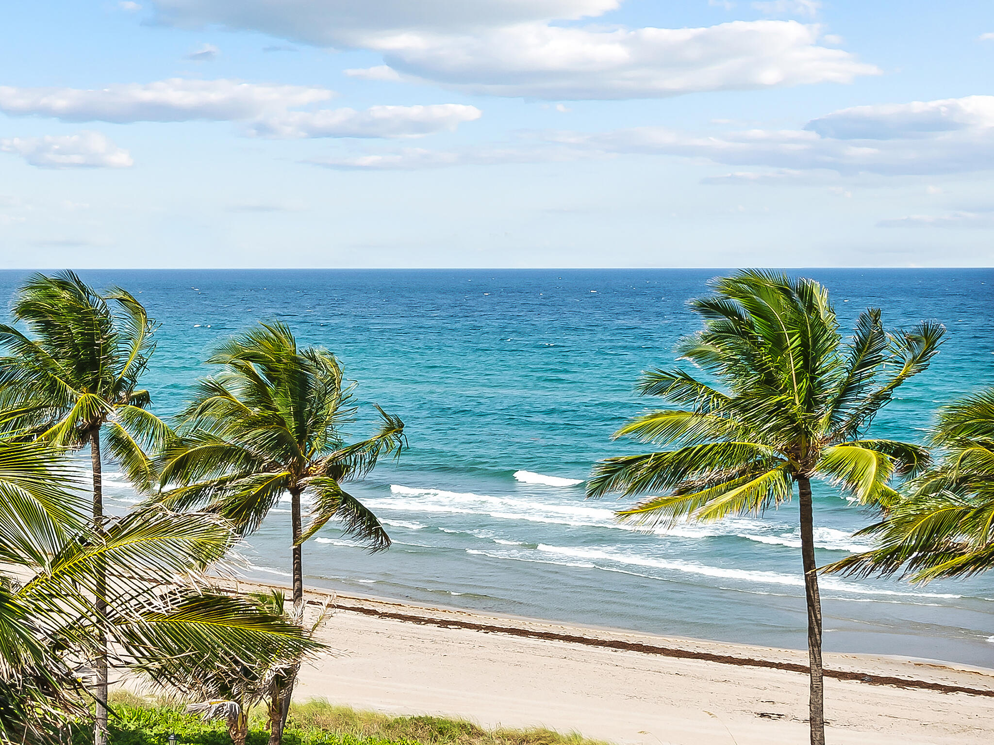 2921 South Ocean Boulevard, Unit 507 Highland Beach, FL 33487 - Photo 16 of 22 a view of a beach with a palm tree