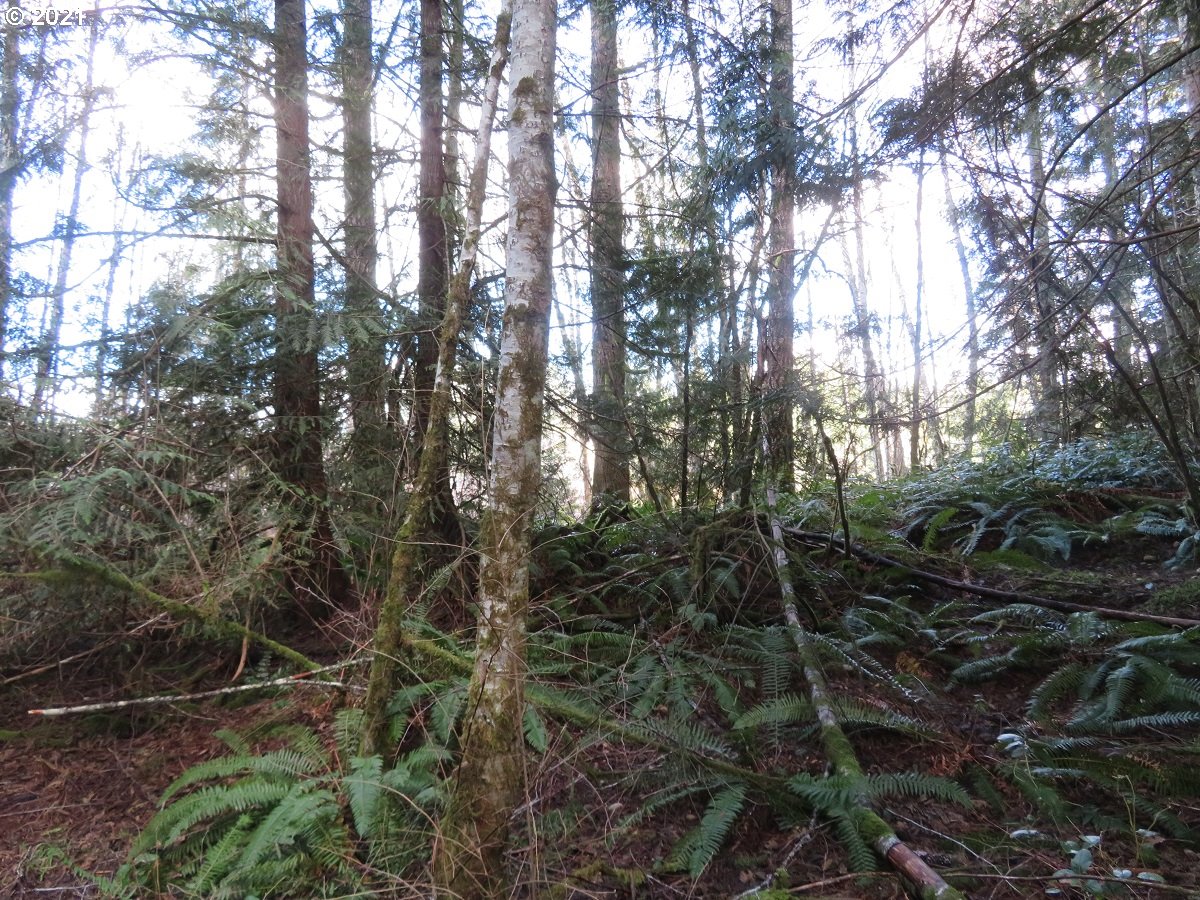 Wayne Road, Unit 4 Seabeck, WA 98380 - Photo 20 of 27 Gallery Image 20