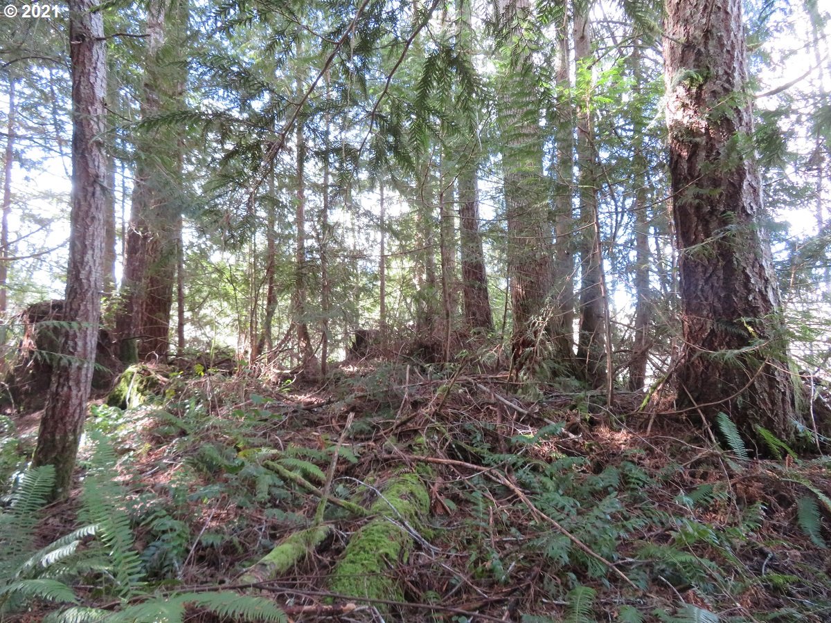Wayne Road, Unit 4 Seabeck, WA 98380 - Photo 9 of 27 Gallery Image 9
