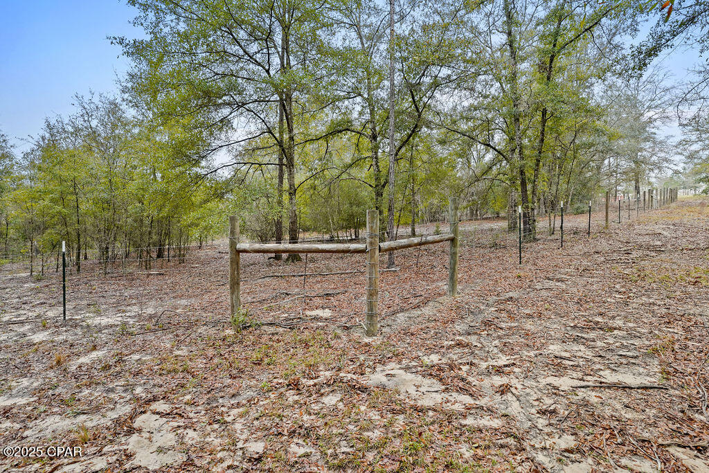 1591 River Road Caryville, FL 32427 - Photo 26 of 35