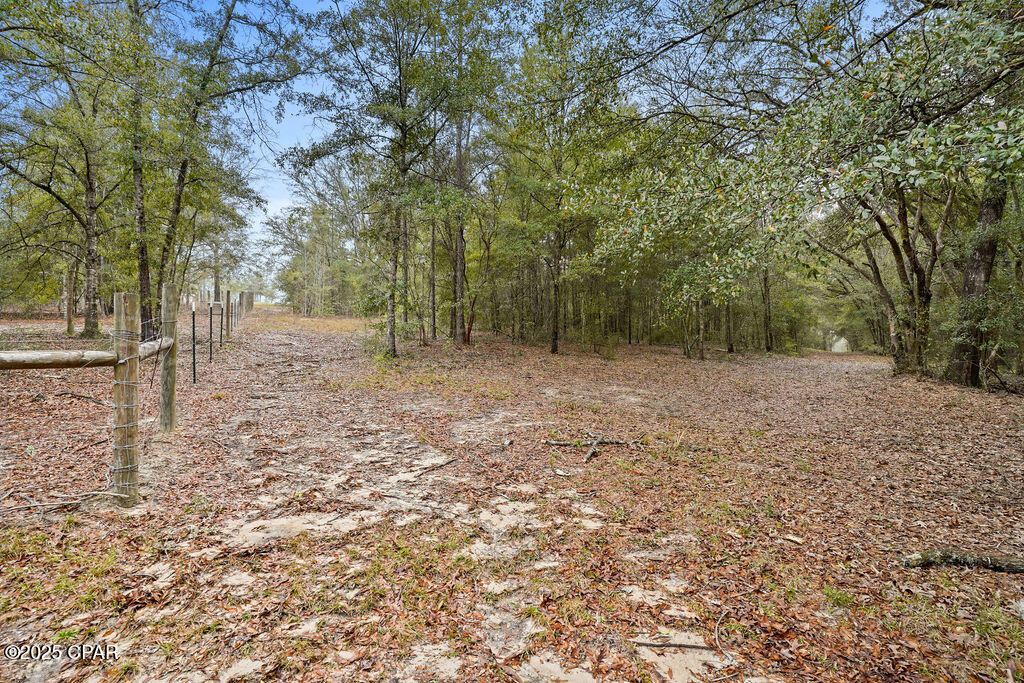 1591 River Road Caryville, FL 32427 - Photo 27 of 35