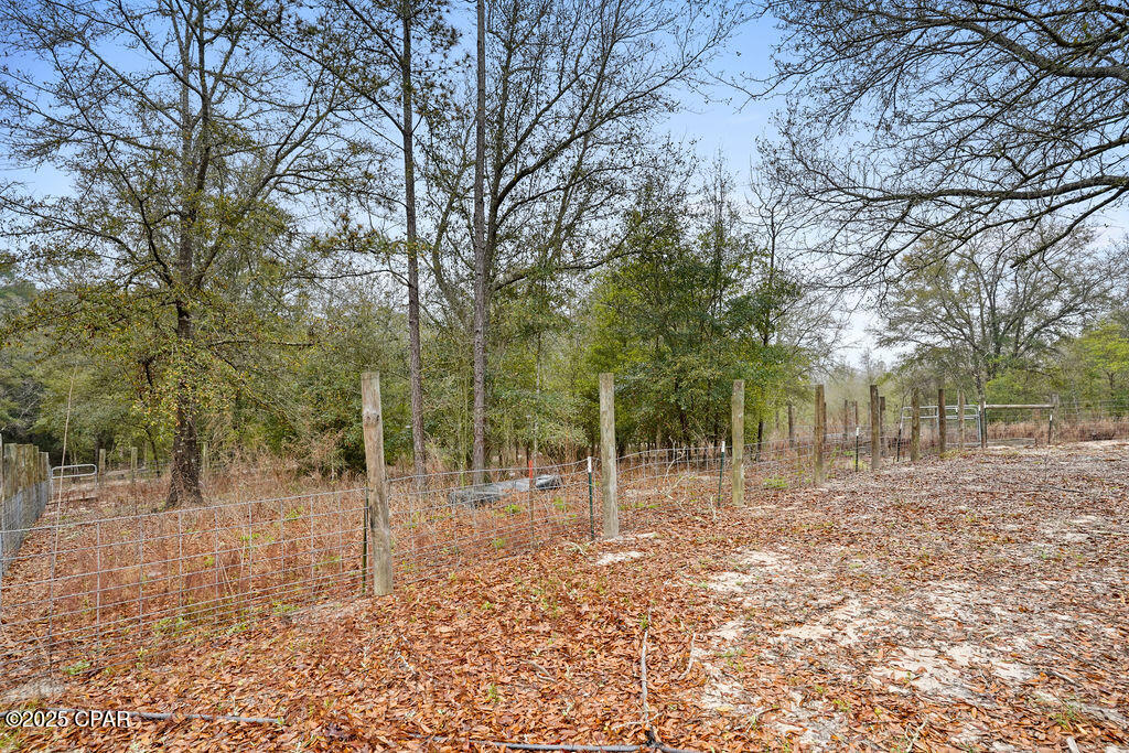 1591 River Road Caryville, FL 32427 - Photo 28 of 35