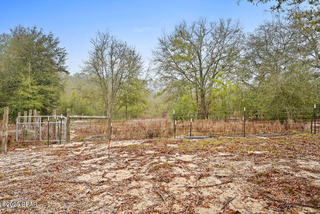 1591 River Road Caryville, FL 32427 - Photo 29 of 35