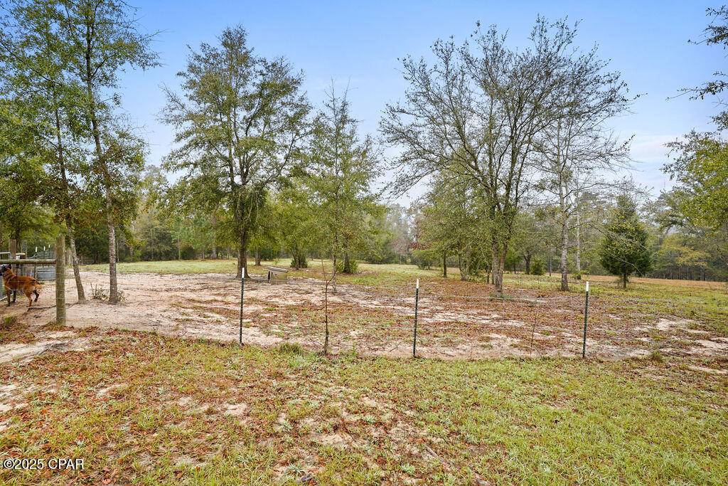 1591 River Road Caryville, FL 32427 - Photo 30 of 35