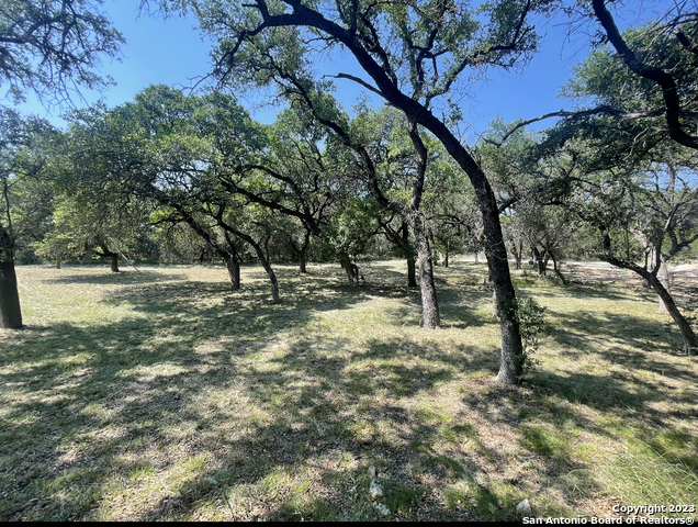 792 Alamo Beach Road Pipe Creek, TX 78063 - Photo 33 of 70 a view of outdoor space with trees