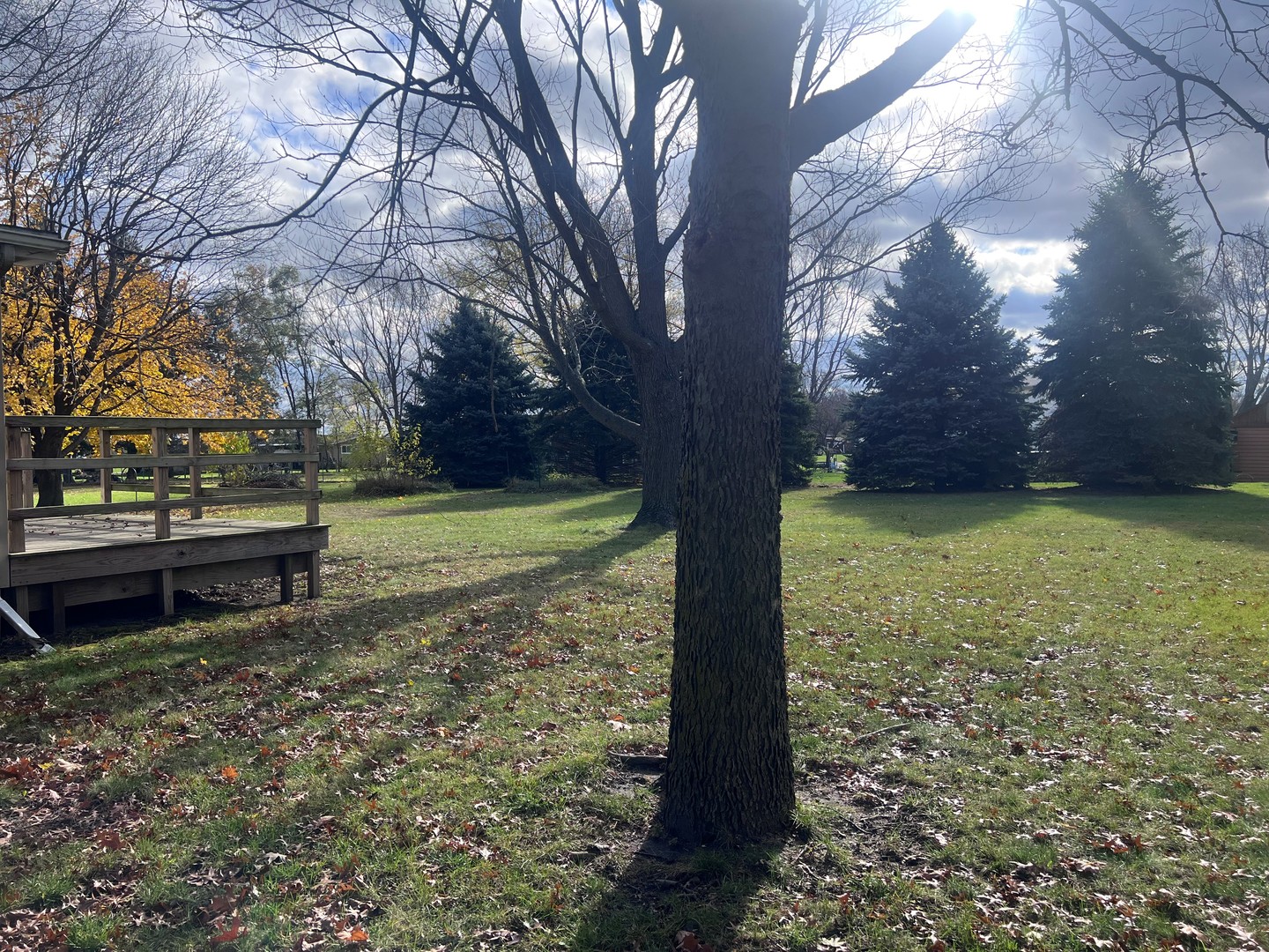 26899 Knief Road Rock Falls, IL 61071 - Photo 13 of 14 a view of a bench in a yard