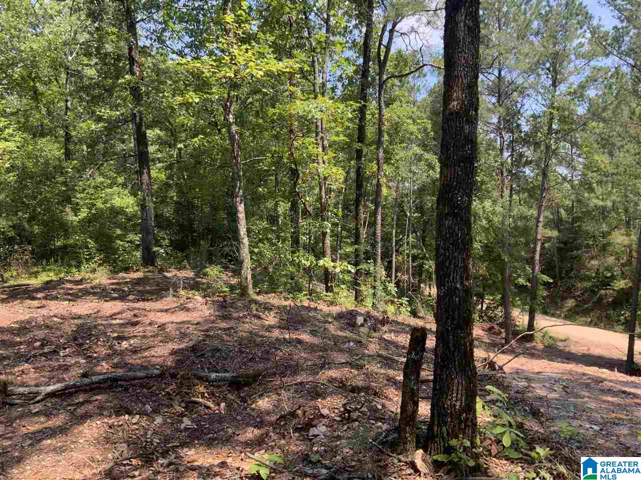 0 County Road 199, Unit 19 / ACRES Clanton, AL 35046 - Photo 8 of 17