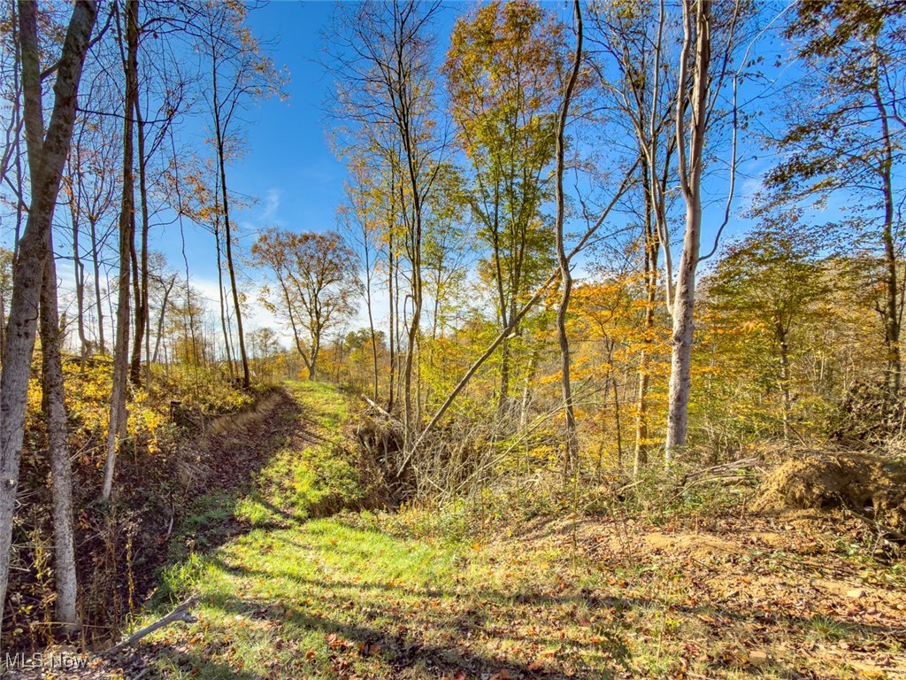 0 Flint Ridge Road Northeast Crooksville, OH 43731 - Photo 28 of 46 View of nature