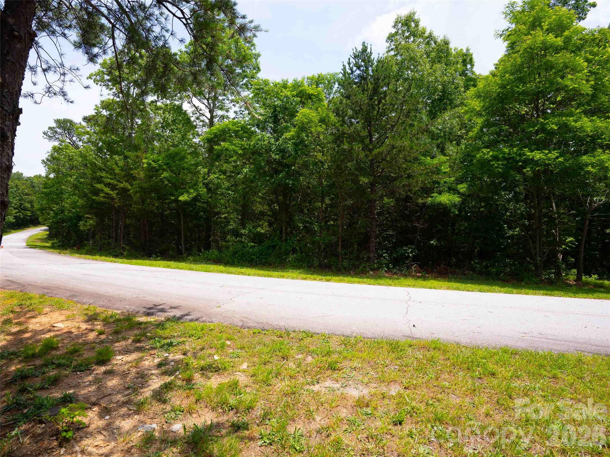 288 Eastman Place Mill Spring, NC 28756 - Photo 13 of 15 a view of an outdoor space and a yard