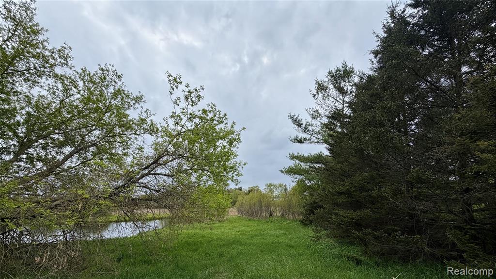 8079 Farley Road Pinckney, MI 48169 - Photo 3 of 43